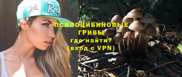 таблы Бородино